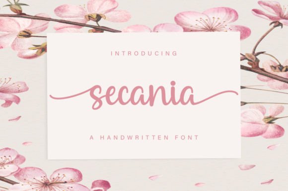 Secania: A Handwritten Font for Creative Projects